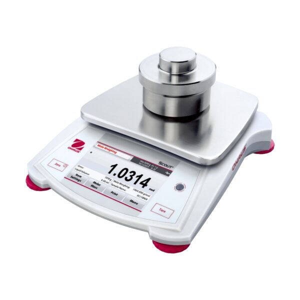 Digital Platform Scale - BB065