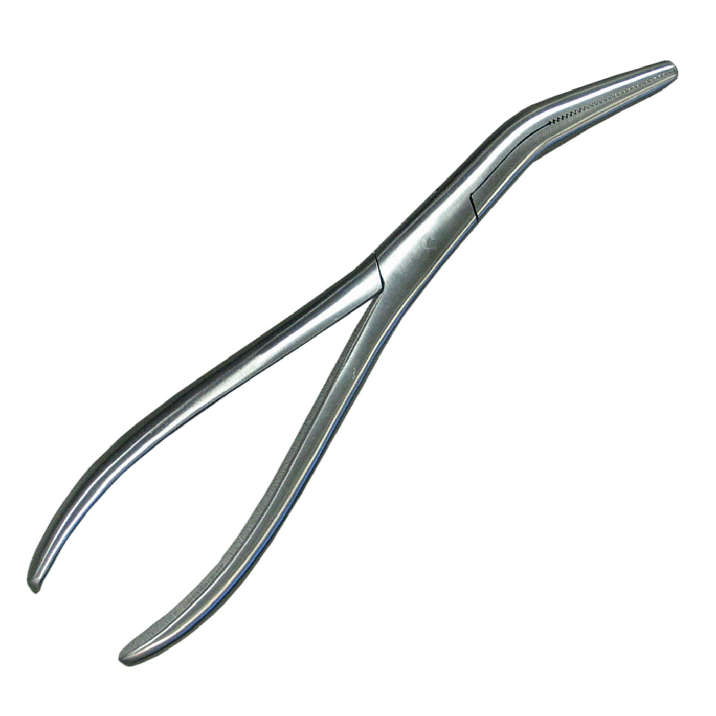 Dura Strip Forceps-Dissecting Instruments-Mortech Manufacturing Company Inc. Quality Stainless Steel Autopsy, Morgue, Funeral Home, Necropsy, Veterinary / Anatomy, Dissection Equipment and Accessories