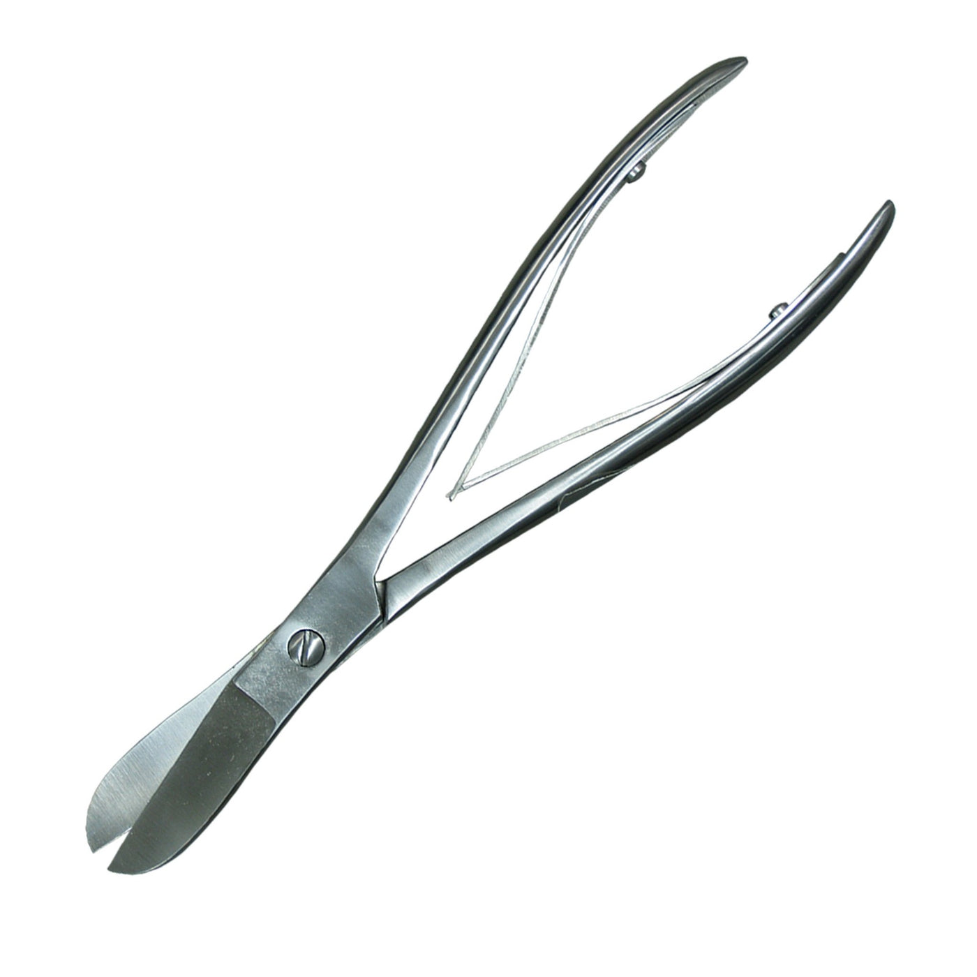 Plain Bone Shear