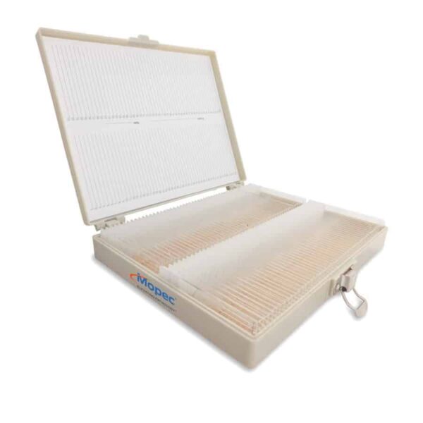 Control Slides, IHC, phospho SHC1, Box of 100